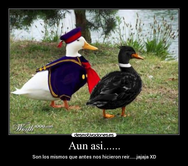 carteles patos locos desmotivaciones