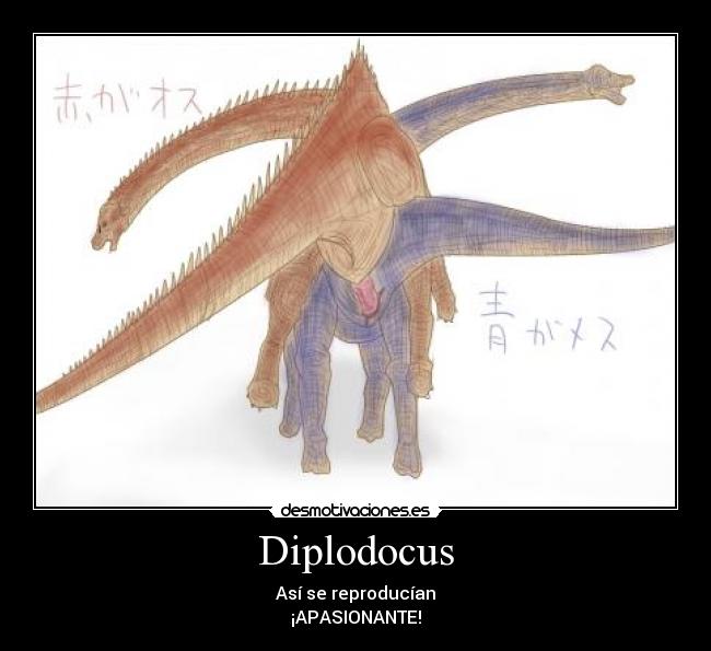 Diplodocus - Así se reproducían
¡APASIONANTE!