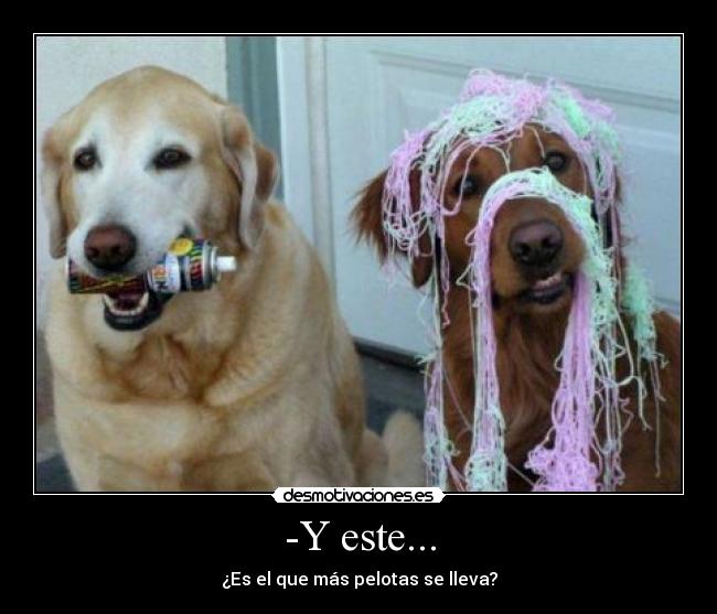 -Y este... - 