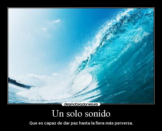 Un solo sonido -