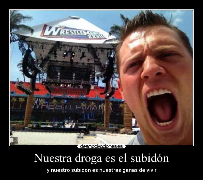 Nuestra droga es el subidón - 