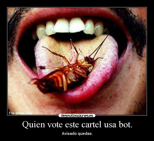 Quien vote este cartel usa bot. - 