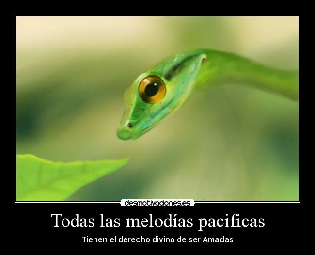 Todas las melodías pacificas -