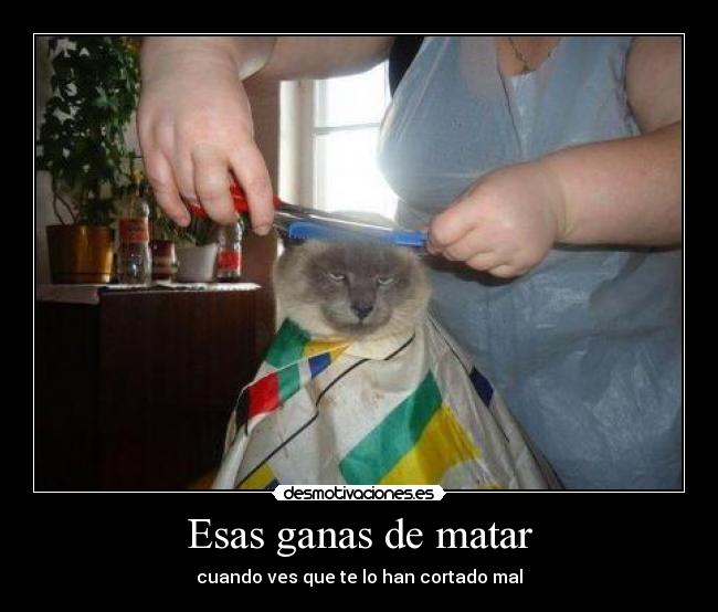 Esas ganas de matar - cuando ves que te lo han cortado mal