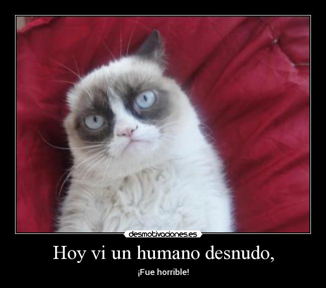 carteles dsadas desmotivaciones