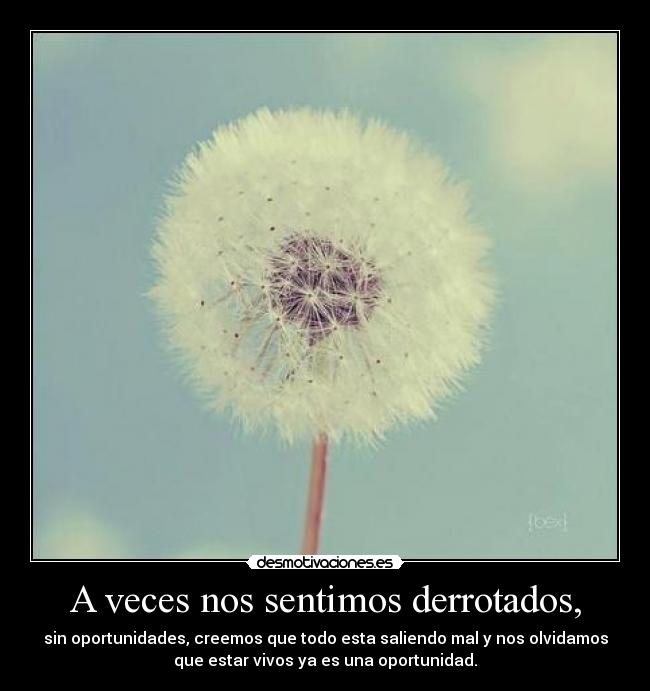 A veces nos sentimos derrotados, - sin oportunidades, creemos que todo esta saliendo mal y nos olvidamos
que estar vivos ya es una oportunidad.