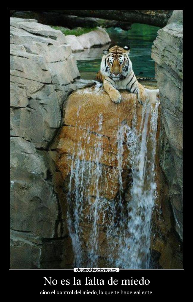 No es la falta de miedo - 