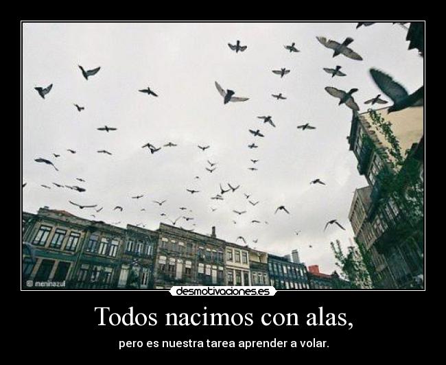 Todos nacimos con alas, - 