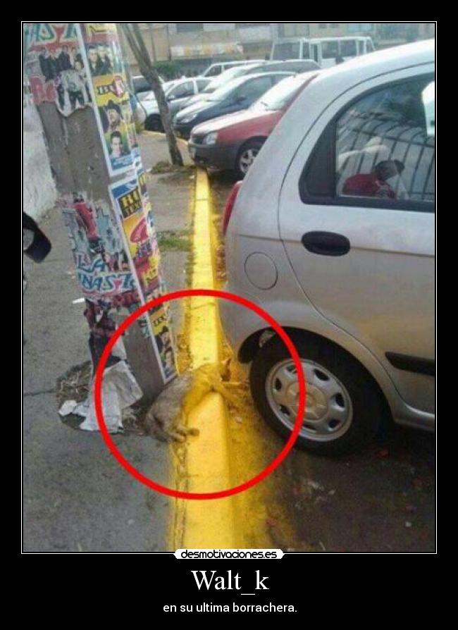 Walt_k - en su ultima borrachera.