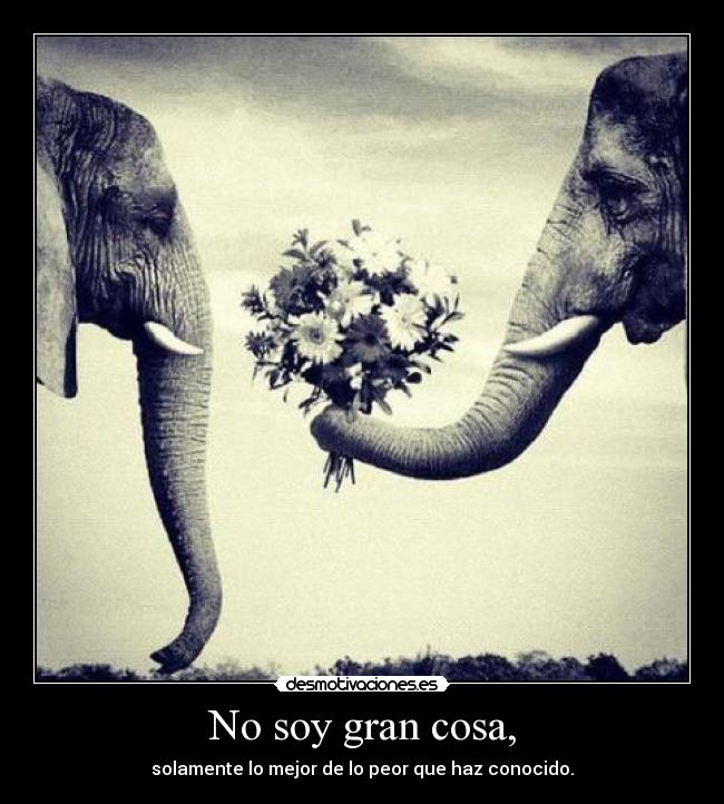 No soy gran cosa, - 