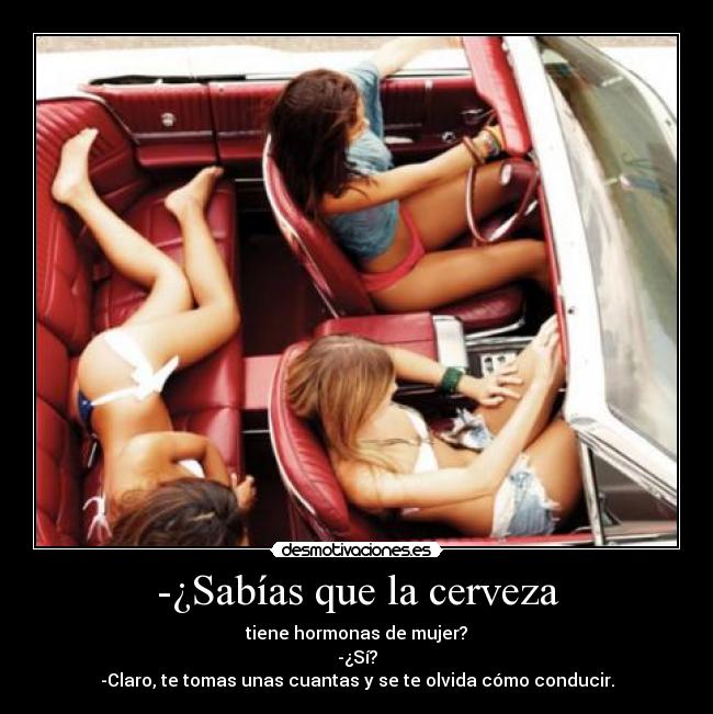 -¿Sabías que la cerveza - tiene hormonas de mujer?
-¿Sí?
-Claro, te tomas unas cuantas y se te olvida cómo conducir.