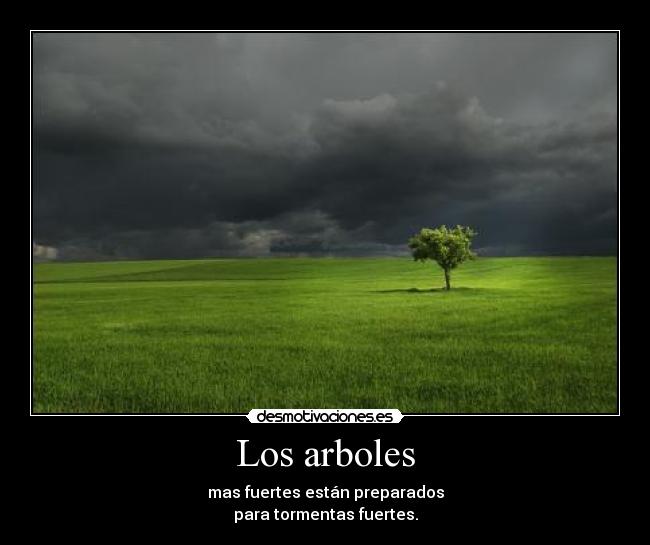 Los arboles - mas fuertes están preparados
para tormentas fuertes.