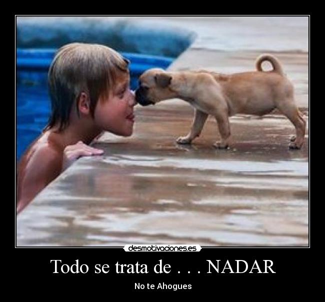 Todo se trata de . . . NADAR - No te Ahogues