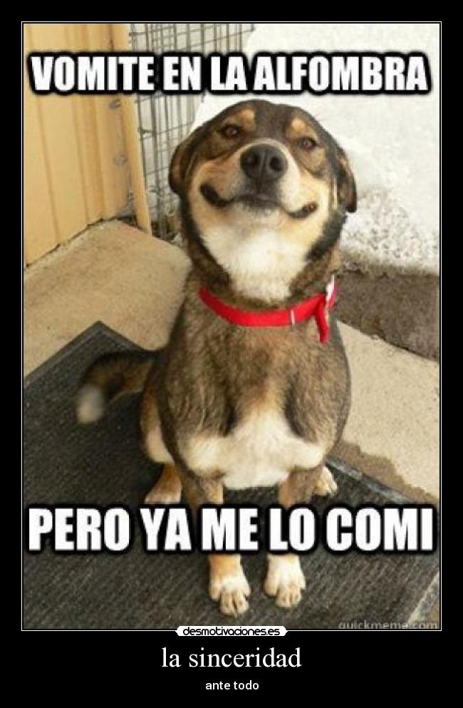 la sinceridad - ante todo