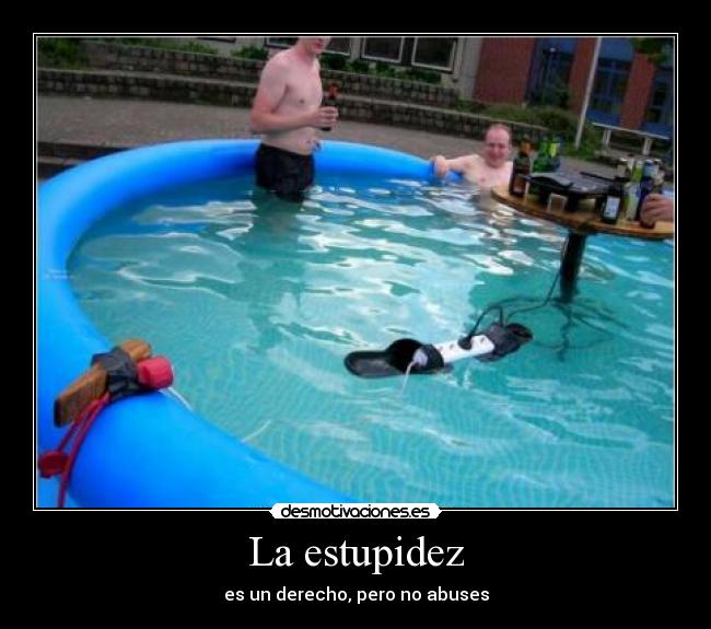 La estupidez -