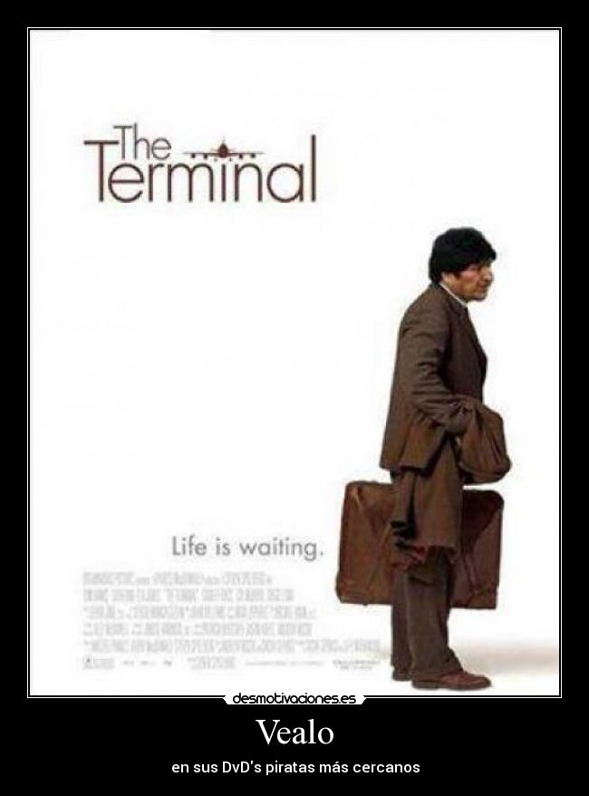 carteles vealo sus dvds piratas mas cercanos like merecia desmotivaciones