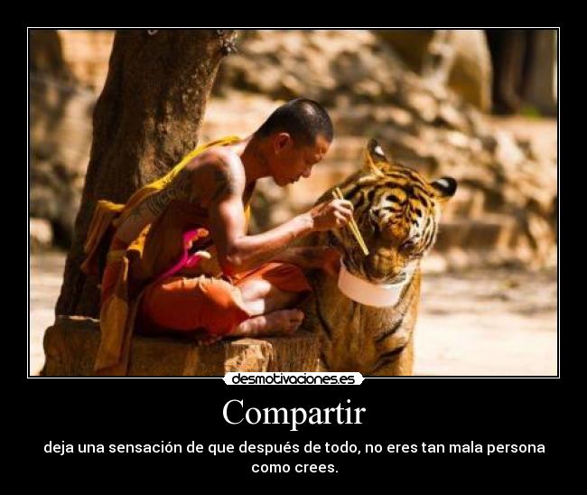 Compartir - 