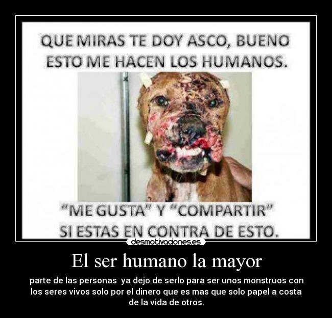 El ser humano la mayor - parte de las personas  ya dejo de serlo para ser unos monstruos con
los seres vivos solo por el dinero que es mas que solo papel a costa
de la vida de otros.