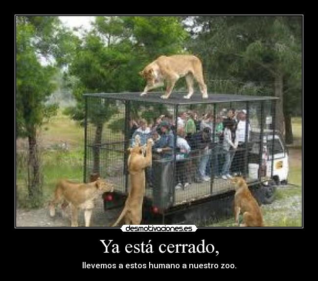 Ya está cerrado, - llevemos a estos humano a nuestro zoo.