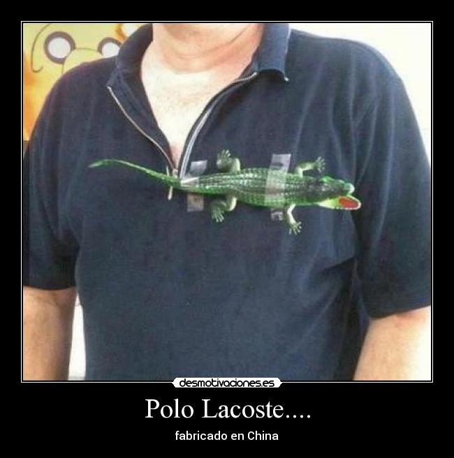 Polo Lacoste.... - 