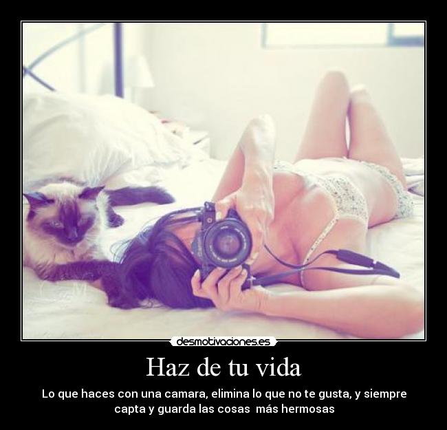 carteles vida ldkskfks desmotivaciones