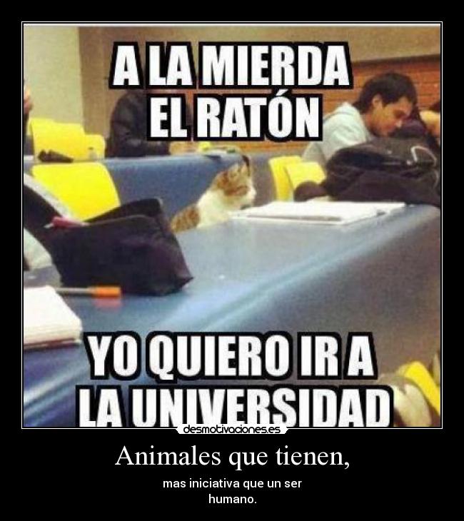 Animales que tienen, -