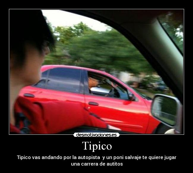 carteles poni salvaje carreras autos autitos desmotivaciones