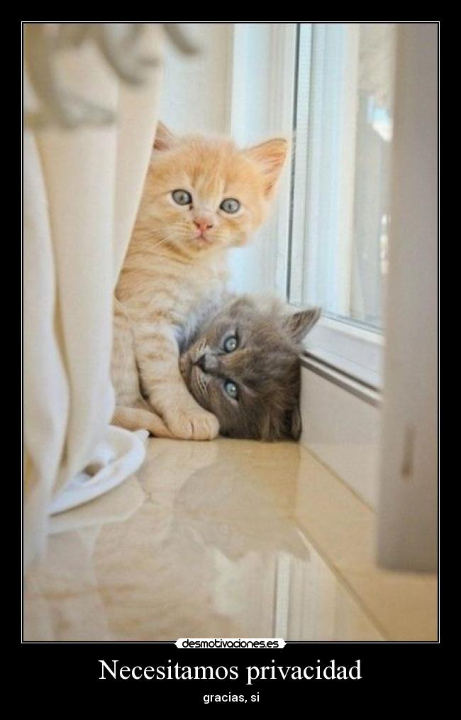 Necesitamos privacidad - gracias, si