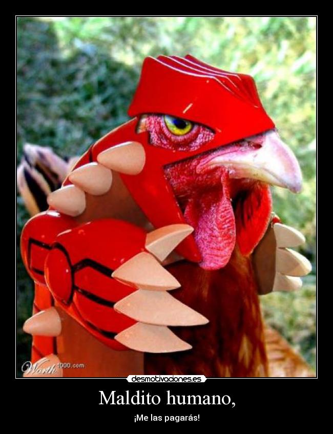 Maldito humano, - ¡Me las pagarás!