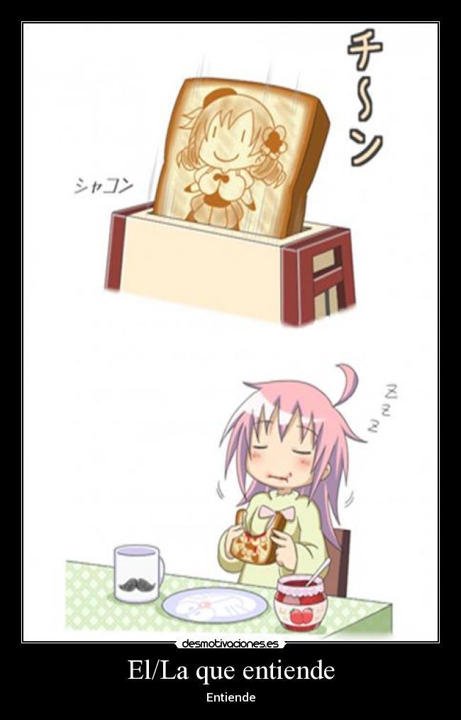 El/La que entiende -