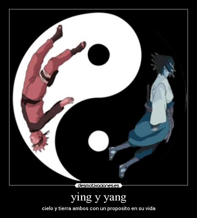 ying y yang -