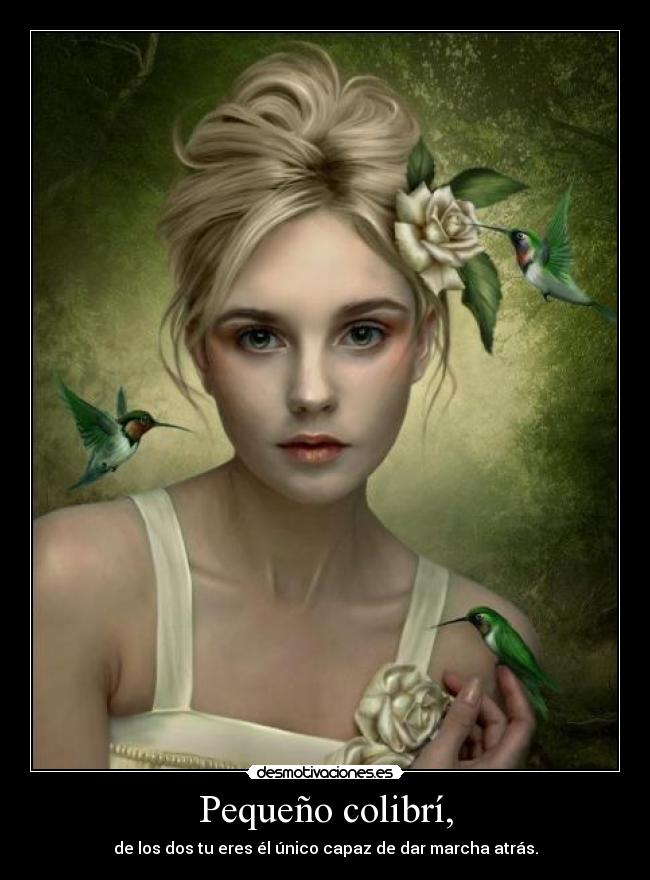 Pequeño colibrí, - 
