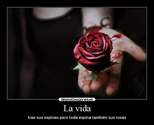 La vida - trae sus espinas pero toda espina también sus rosas
