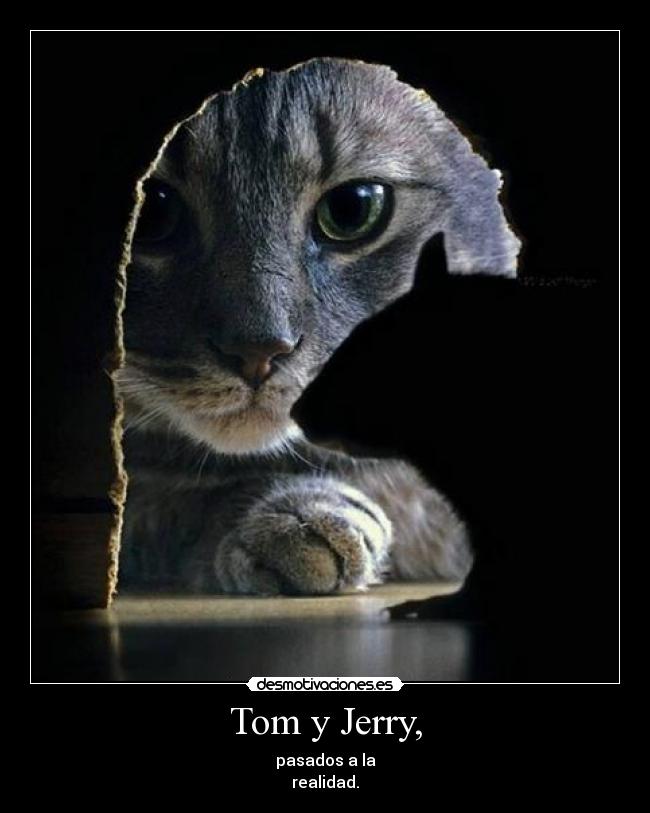 Tom y Jerry, - pasados a la
realidad.