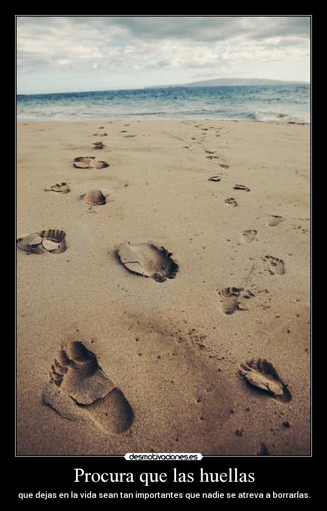 Procura que las huellas - 