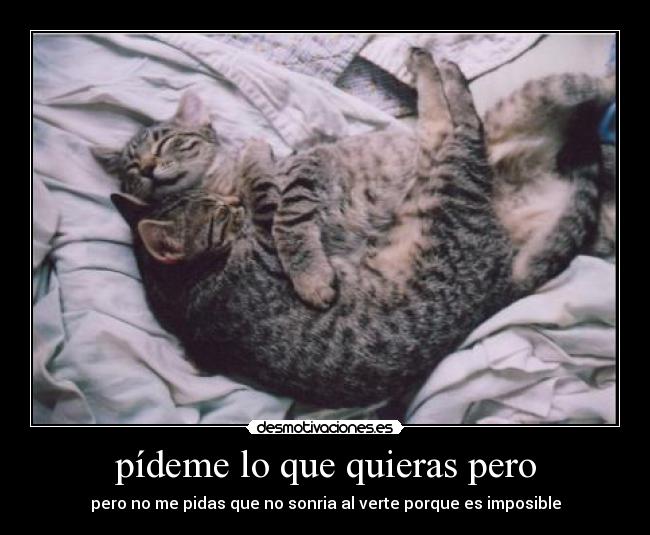 pídeme lo que quieras pero - pero no me pidas que no sonria al verte porque es imposible