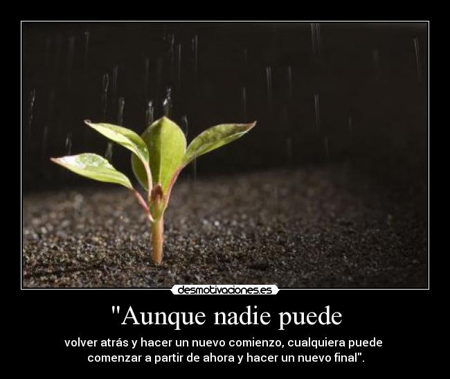 Aunque nadie puede - volver atrás y hacer un nuevo comienzo, cualquiera puede 
comenzar a partir de ahora y hacer un nuevo final.