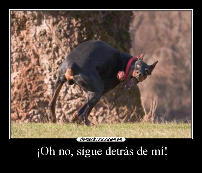 ¡Oh no, sigue detrás de mí! -