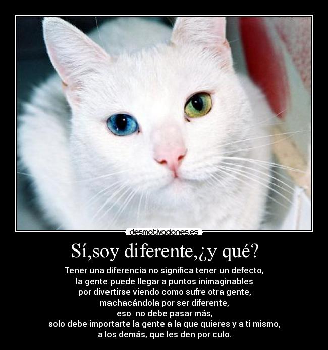 Sí,soy diferente,¿y qué? - 