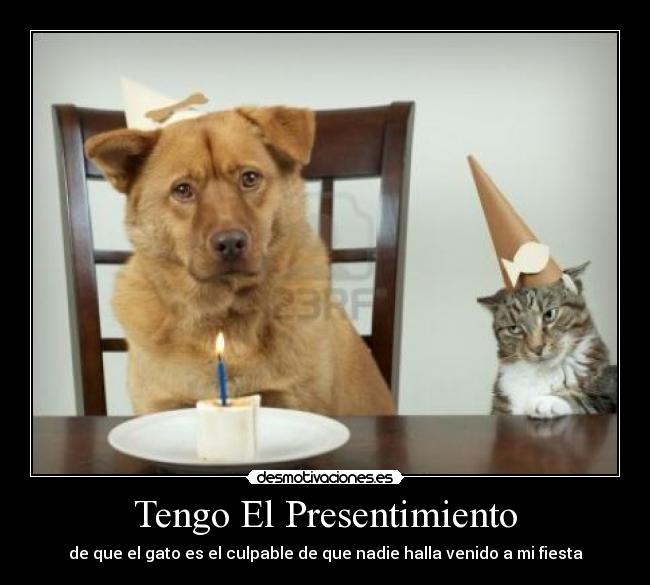 Tengo El Presentimiento - de que el gato es el culpable de que nadie halla venido a mi fiesta