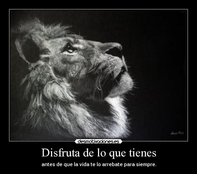 Disfruta de lo que tienes - antes de que la vida te lo arrebate para siempre.