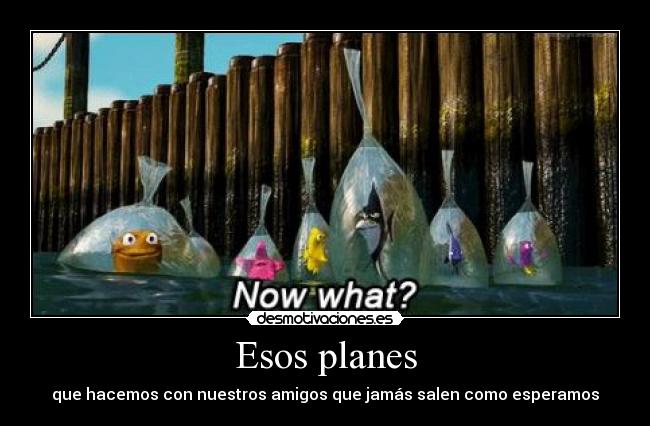 Esos planes - que hacemos con nuestros amigos que jamás salen como esperamos