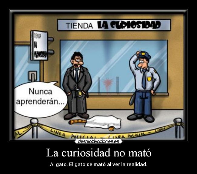 La curiosidad no mató - Al gato. El gato se mató al ver la realidad.