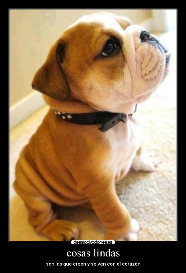 cosas lindas -