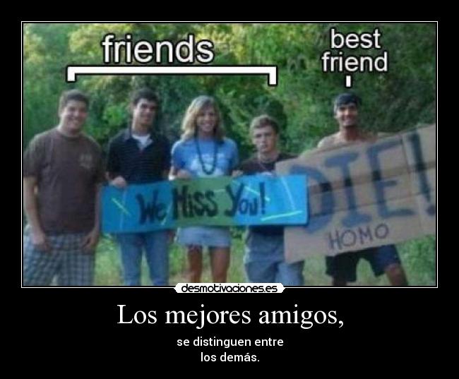 Los mejores amigos, -