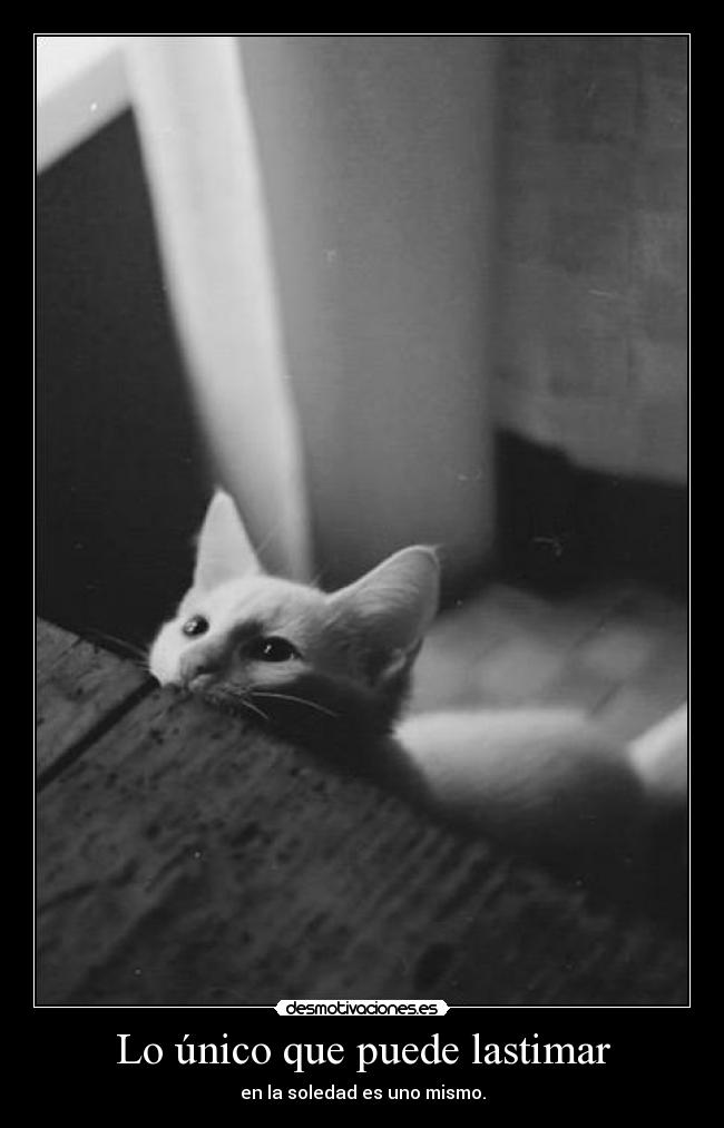 Lo único que puede lastimar -