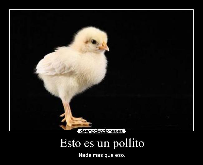 carteles afcsadfsad desmotivaciones