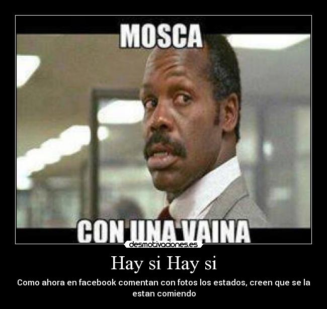 Hay si Hay si - 