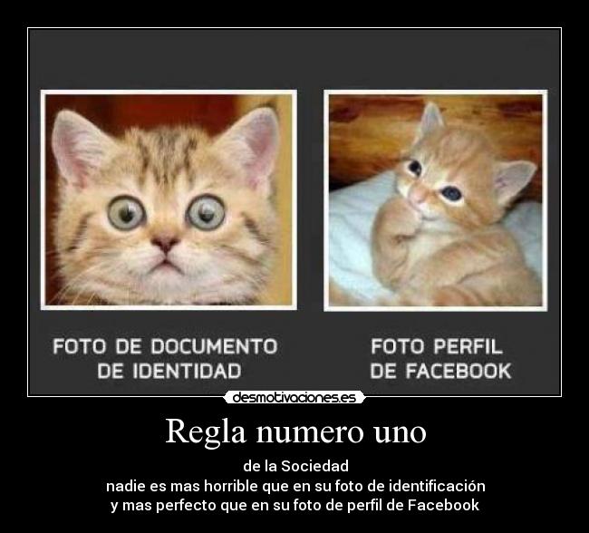Regla numero uno - de la Sociedad
nadie es mas horrible que en su foto de identificación
y mas perfecto que en su foto de perfil de Facebook