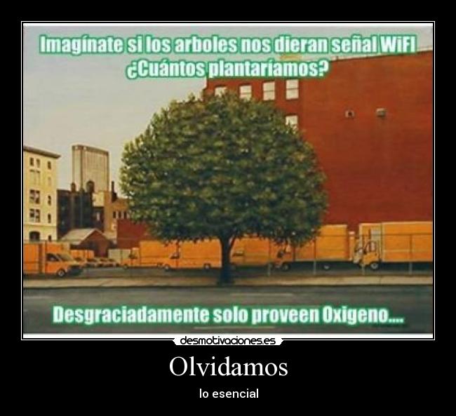 Olvidamos -